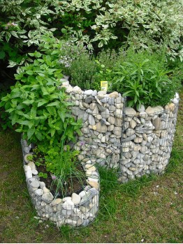 Mémo-quiz sur les plantes aromatiques